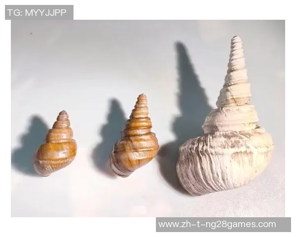 以拼音为英文名的足球明星:揭示他们独特的身份与职业之路 以拼音为英文名的足球明星:揭示他们独特的身份与职业之路